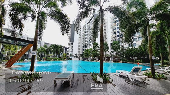 MILTONIA CLOSE SKIES MILTONIA 出租