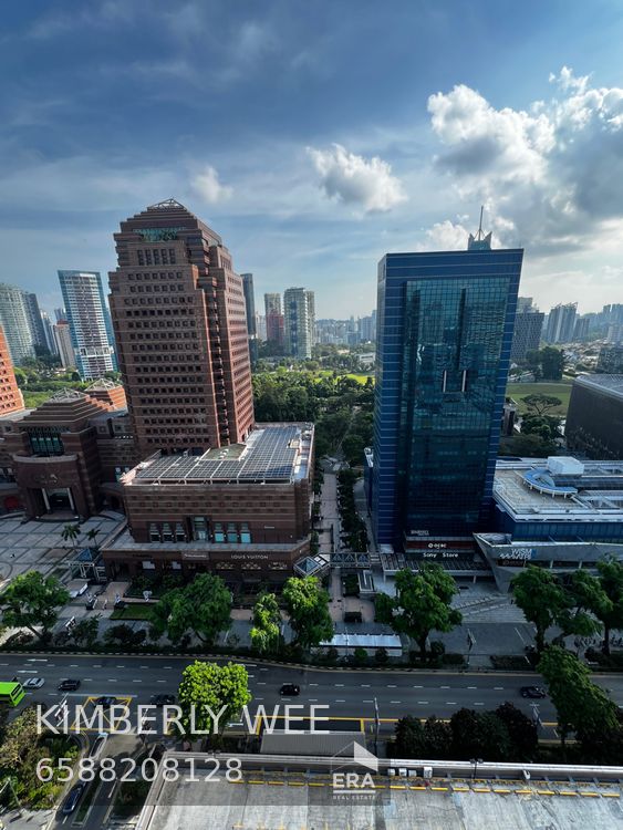ORCHARD ROAD LUCKY PLAZA 出租