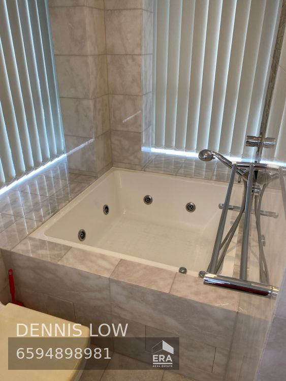 CUSCADEN WALK ANGULLIA PARK RESIDENCES @ ORCHARD 出租