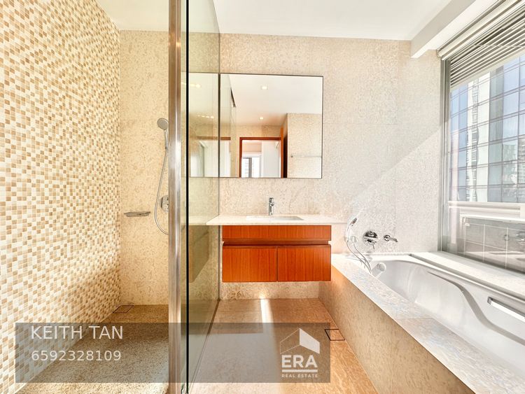 ANGULLIA PARK SKYLINE @ ORCHARD BOULEVARD 出租