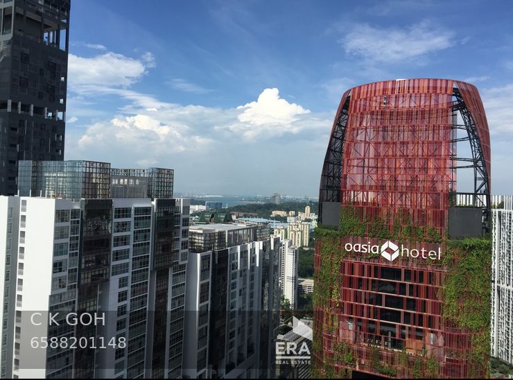 ANSON ROAD INTERNATIONAL PLAZA 出租