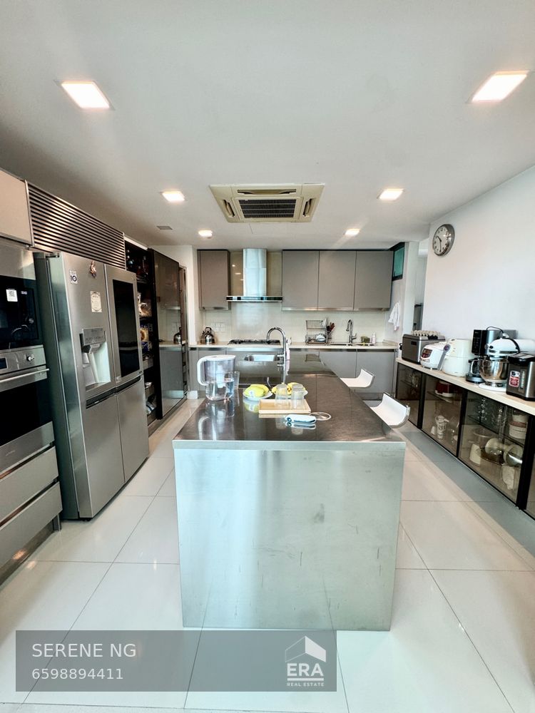 SAINT PATRICK'S ROAD GRAND DUCHESS AT ST PATRICK'S 出租